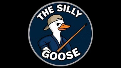 Pool at The Silly Goose in Wakefield